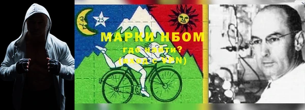 прущий лед Арсеньев
