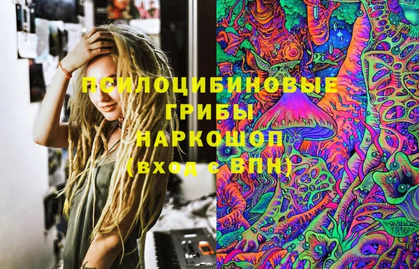 стаф Аркадак