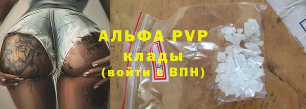 стаф Аркадак
