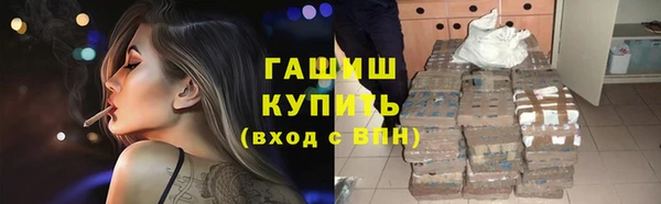 стаф Аркадак