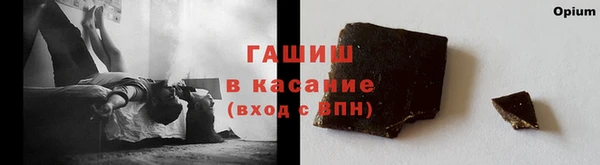 стаф Аркадак