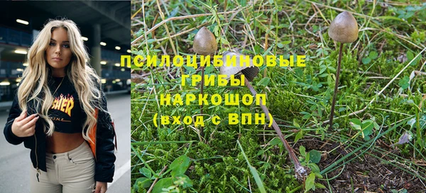 альфа пвп Армянск