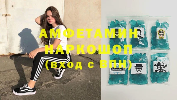 стаф Аркадак