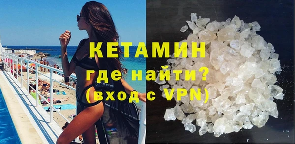 стаф Аркадак