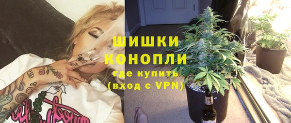 стаф Аркадак