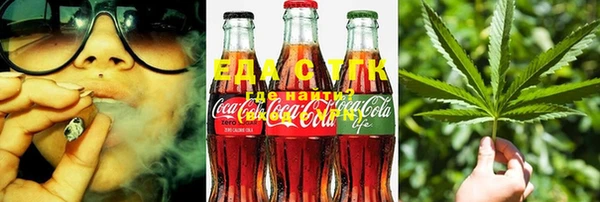 стаф Аркадак